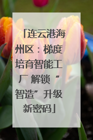 连云港海州区：梯度培育智能工厂 解锁“智造”升级新密码
