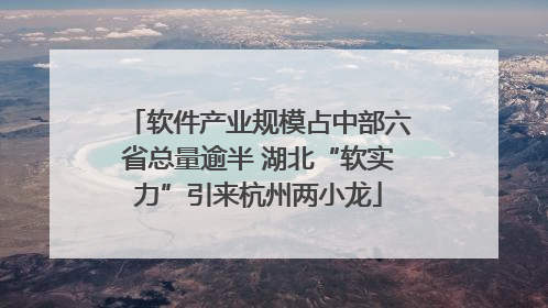 软件产业规模占中部六省总量逾半 湖北“软实力”引来杭州两小龙