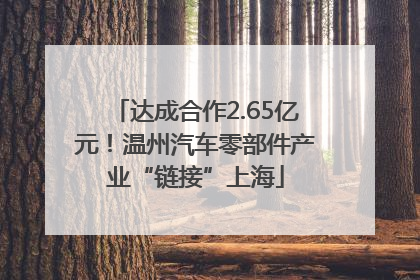 达成合作2.65亿元！温州汽车零部件产业“链接”上海