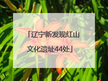 辽宁新发现红山文化遗址44处