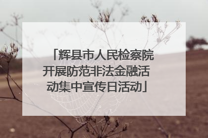 辉县市人民检察院开展防范非法金融活动集中宣传日活动