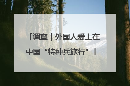 调查｜外国人爱上在中国“特种兵旅行”