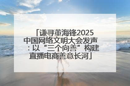 谦寻董海锋2025中国网络文明大会发声：以“三个向善”构建直播电商善意长河