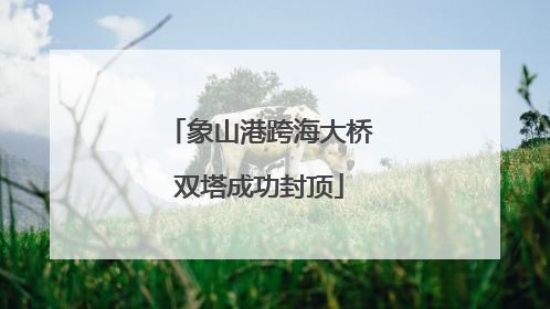象山港跨海大桥双塔成功封顶