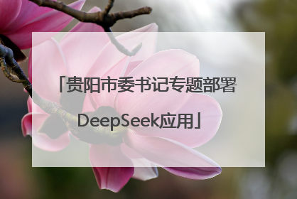贵阳市委书记专题部署DeepSeek应用