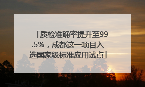 质检准确率提升至99.5%，成都这一项目入选国家级标准应用试点