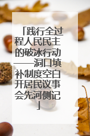 践行全过程人民民主的破冰行动——洞口填补制度空白开居民议事会先河侧记