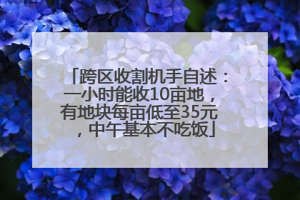 跨区收割机手自述：一小时能收10亩地，有地块每亩低至35元，中午基本不吃饭