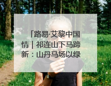 路易·艾黎中国情｜祁连山下马蹄新：山丹马场以绿色发展诠释“两山”理论实践
