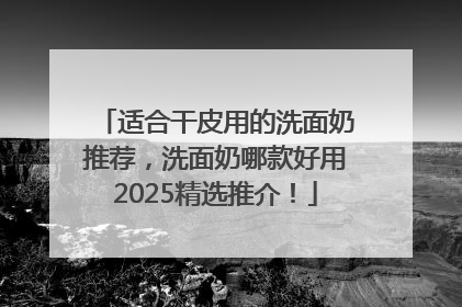适合干皮用的洗面奶推荐，洗面奶哪款好用2025精选推介！