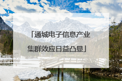 通城电子信息产业集群效应日益凸显