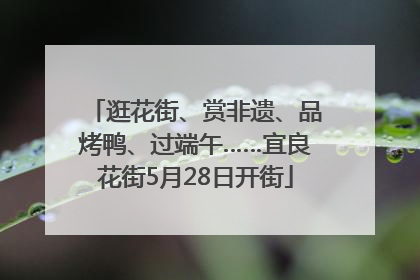 逛花街、赏非遗、品烤鸭、过端午……宜良花街5月28日开街