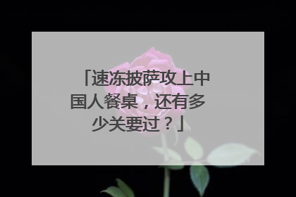 速冻披萨攻上中国人餐桌，还有多少关要过？