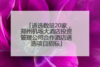 遴选数量20家，郑州机场大酒店投资管理公司合作酒店遴选项目招标