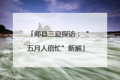 郏县三夏探访：“五月人倍忙”新解