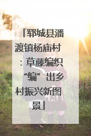 郓城县潘渡镇杨庙村：草藤编织“编”出乡村振兴新图景