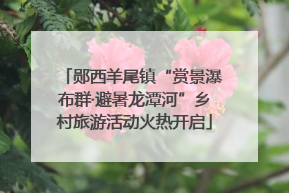 郧西羊尾镇“赏景瀑布群·避暑龙潭河”乡村旅游活动火热开启