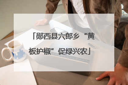 郧西县六郎乡“黄板护椒”促绿兴农