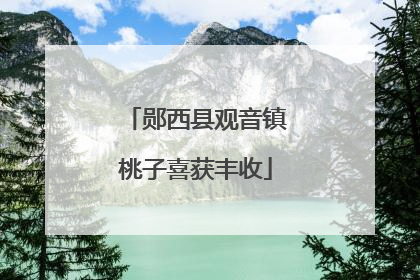 郧西县观音镇桃子喜获丰收