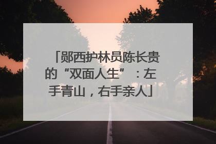郧西护林员陈长贵的“双面人生”：左手青山，右手亲人