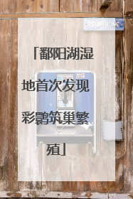 鄱阳湖湿地首次发现彩鹮筑巢繁殖