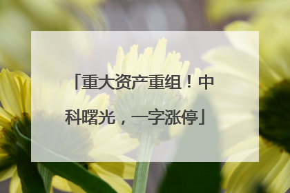 重大资产重组！中科曙光，一字涨停