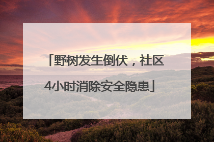 野树发生倒伏，社区4小时消除安全隐患