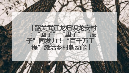 韶关武江龙归镇龙安村：“面子”“里子”“底子”同发力！“百千万工程”激活乡村新动能