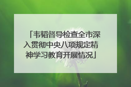韦韬督导检查全市深入贯彻中央八项规定精神学习教育开展情况