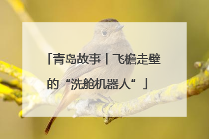 青岛故事丨飞檐走壁的“洗舱机器人”