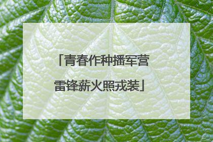 青春作种播军营 雷锋薪火照戎装