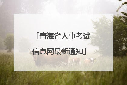 青海省人事考试信息网最新通知
