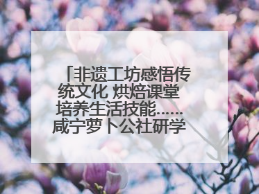 非遗工坊感悟传统文化 烘焙课堂培养生活技能……咸宁萝卜公社研学工坊街焕新迎“双节”