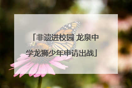 非遗进校园 龙泉中学龙狮少年申请出战