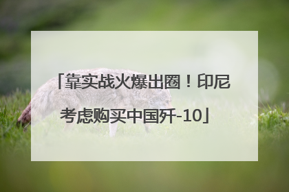靠实战火爆出圈！印尼考虑购买中国歼-10