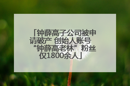 钟薛高子公司被申请破产 创始人账号“钟薛高老林”粉丝仅1800余人