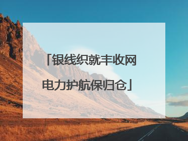 银线织就丰收网 电力护航保归仓
