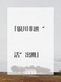 银川非遗“活”出圈