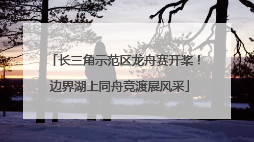 长三角示范区龙舟赛开桨！边界湖上同舟竞渡展风采