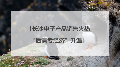 长沙电子产品销售火热 “后高考经济”升温