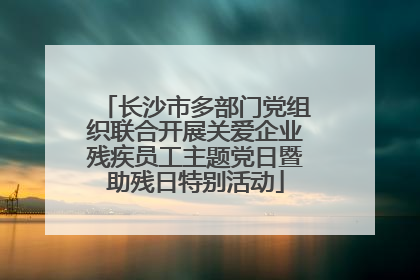 长沙市多部门党组织联合开展关爱企业残疾员工主题党日暨助残日特别活动
