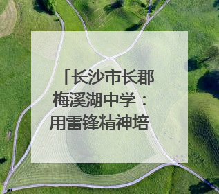 长沙市长郡梅溪湖中学：用雷锋精神培育高质量人才｜走进新时代“雷锋传人 长沙榜样”