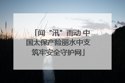 闻“汛”而动 中国太保产险丽水中支筑牢安全守护网