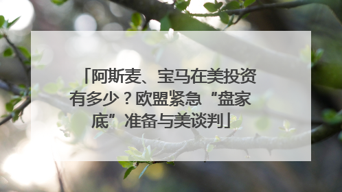 阿斯麦、宝马在美投资有多少？欧盟紧急“盘家底”准备与美谈判