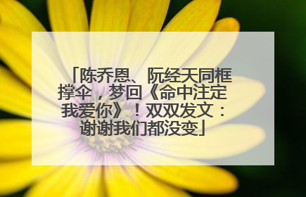 陈乔恩、阮经天同框撑伞，梦回《命中注定我爱你》！双双发文：谢谢我们都没变