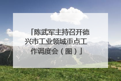 陈武军主持召开德兴市工业领域重点工作调度会（图）