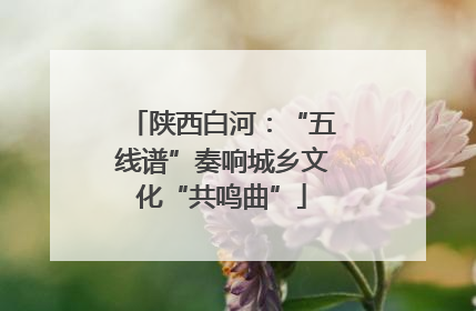 陕西白河：“五线谱”奏响城乡文化“共鸣曲”