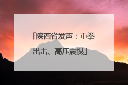 陕西省发声：重拳出击、高压震慑