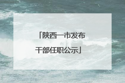 陕西一市发布干部任职公示