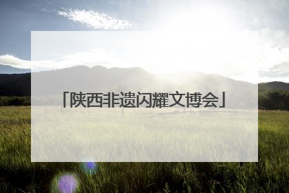 陕西非遗闪耀文博会